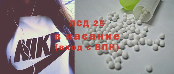 ПСИЛОЦИБИНОВЫЕ ГРИБЫ Алзамай