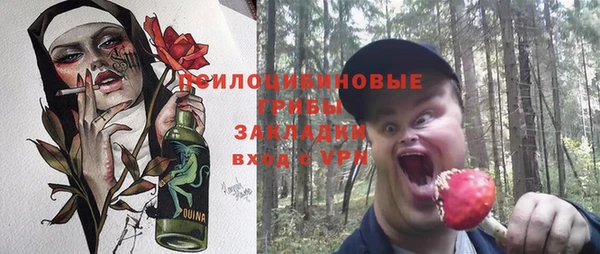 ешки Алексеевка