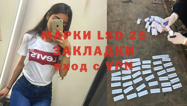 ПСИЛОЦИБИНОВЫЕ ГРИБЫ Алзамай