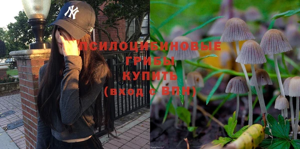 ешки Алексеевка