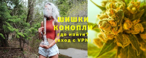 ПСИЛОЦИБИНОВЫЕ ГРИБЫ Алзамай
